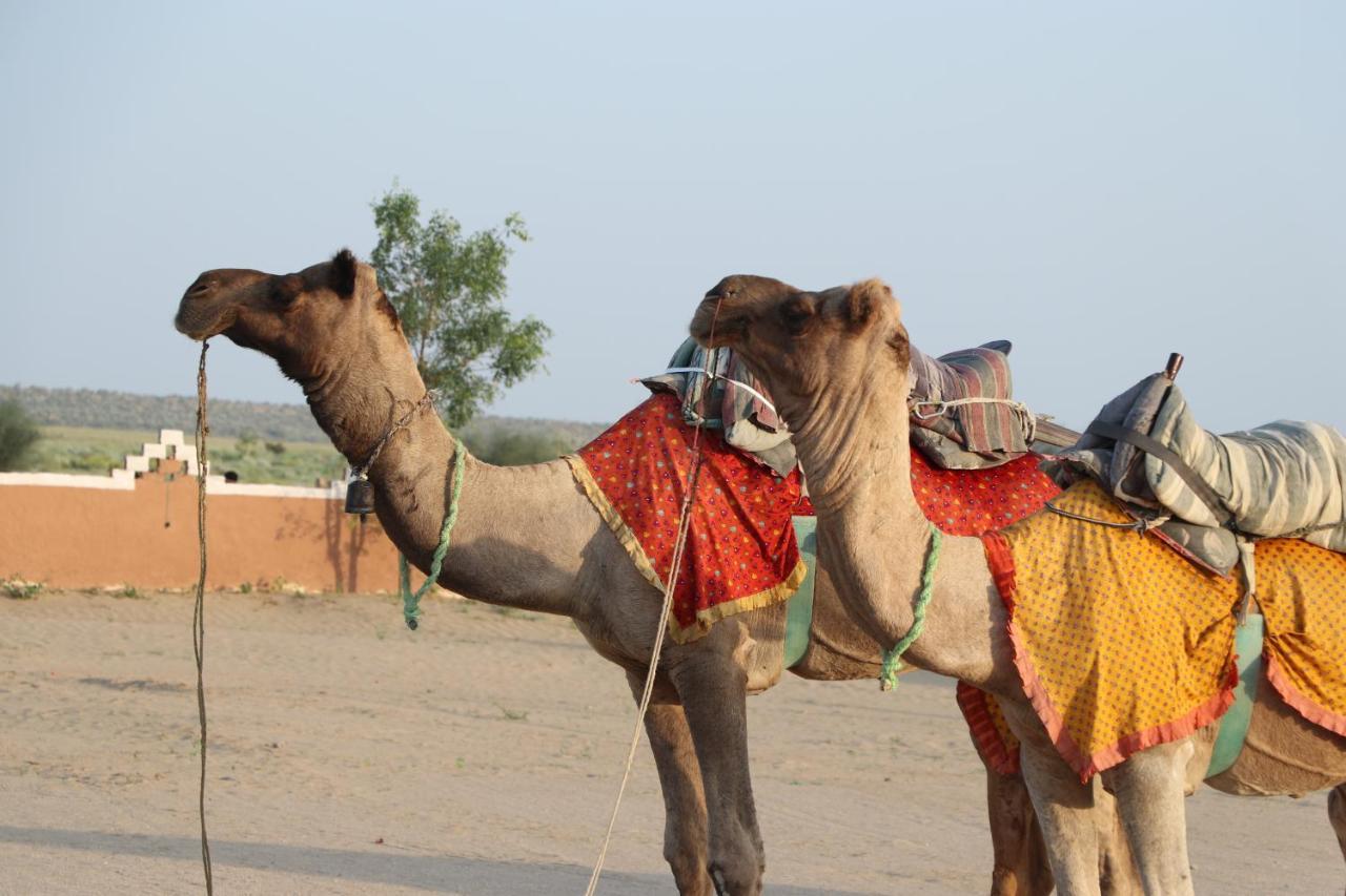 Sunny Desert Camp Kuri Luaran gambar