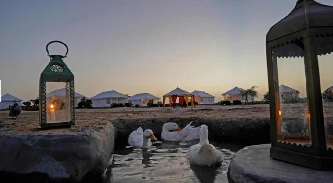 Sunny Desert Camp Kuri Luaran gambar
