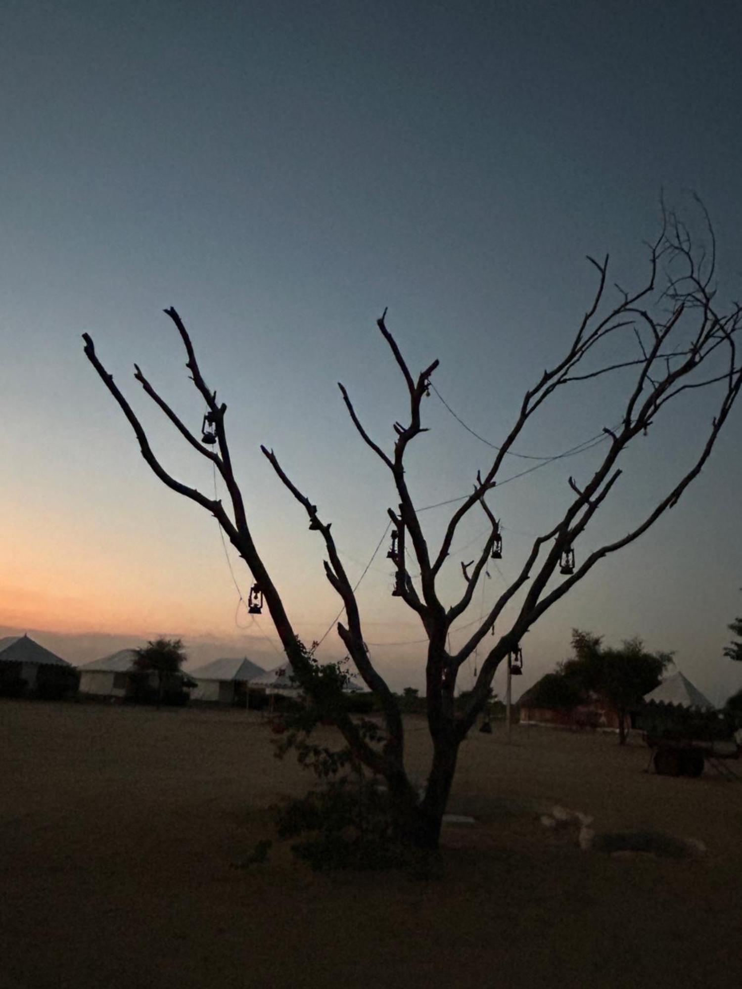 Sunny Desert Camp Kuri Luaran gambar