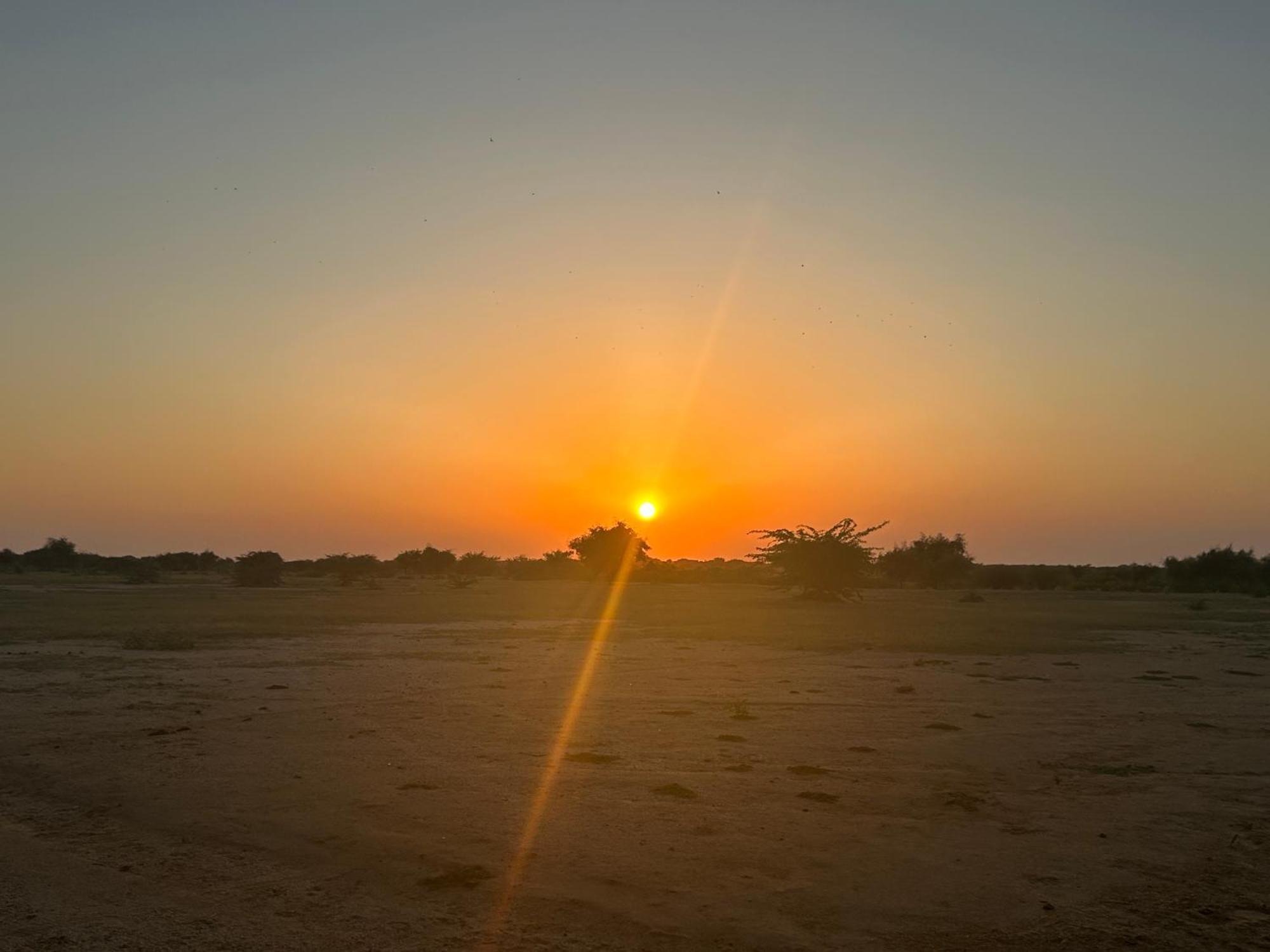 Sunny Desert Camp Kuri Luaran gambar